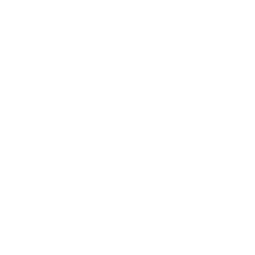 screening-icon
