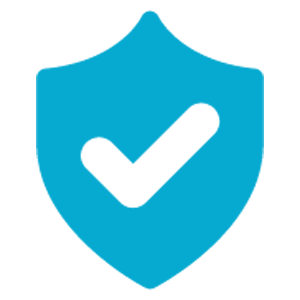 Icon-Safety Essentials